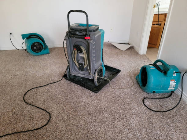 Best Flood restoration services  in Hudson, NY