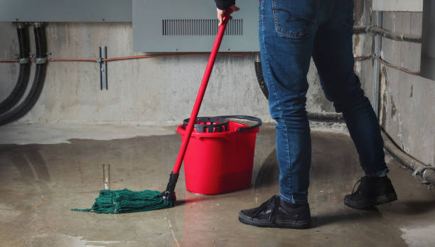 Best 24/7 water damage repair  in Hudson, NY