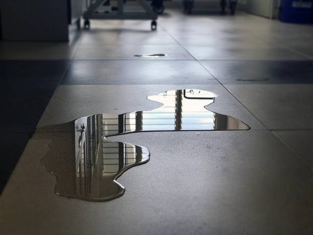 Best Water damage restoration near me  in Hudson, NY