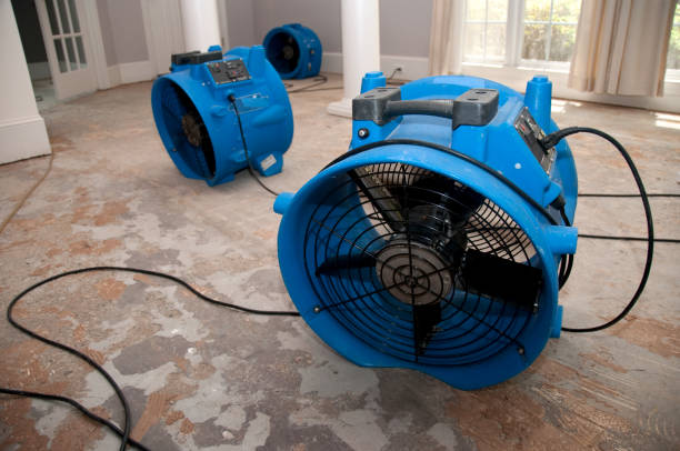Best Water damage contractors near me  in Hudson, NY