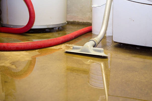 Best Water damage contractors near me  in Hudson, NY