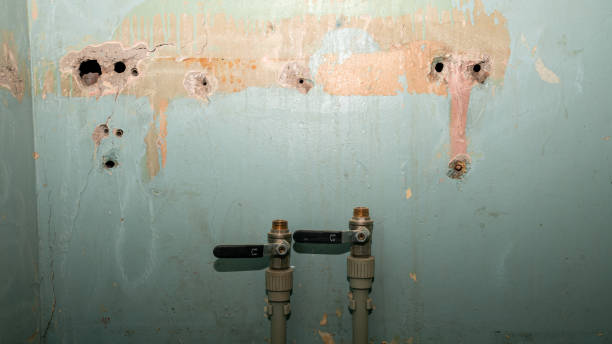 Best Mold removal after water damage  in Hudson, NY